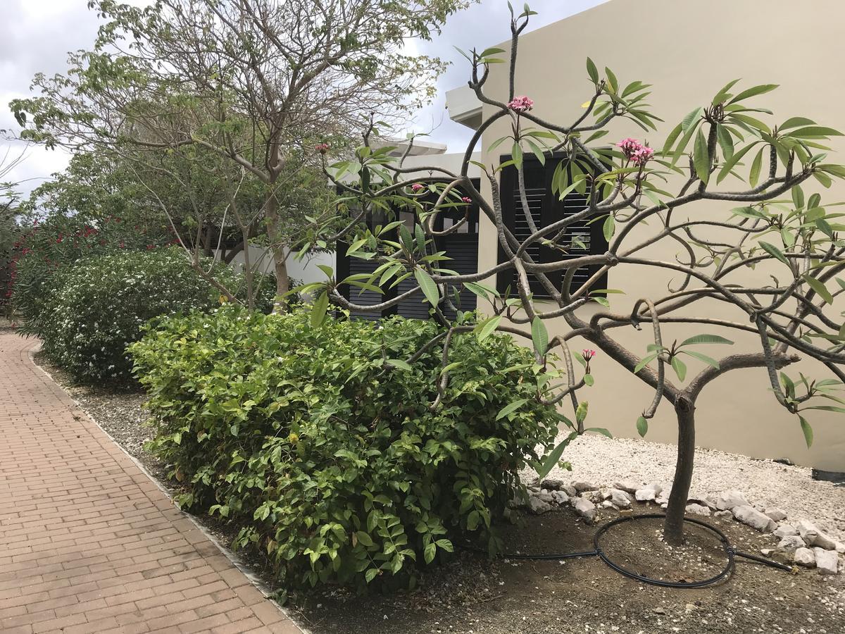Blue Bay Resort Garden Dorp Sint Michiel Exterior foto